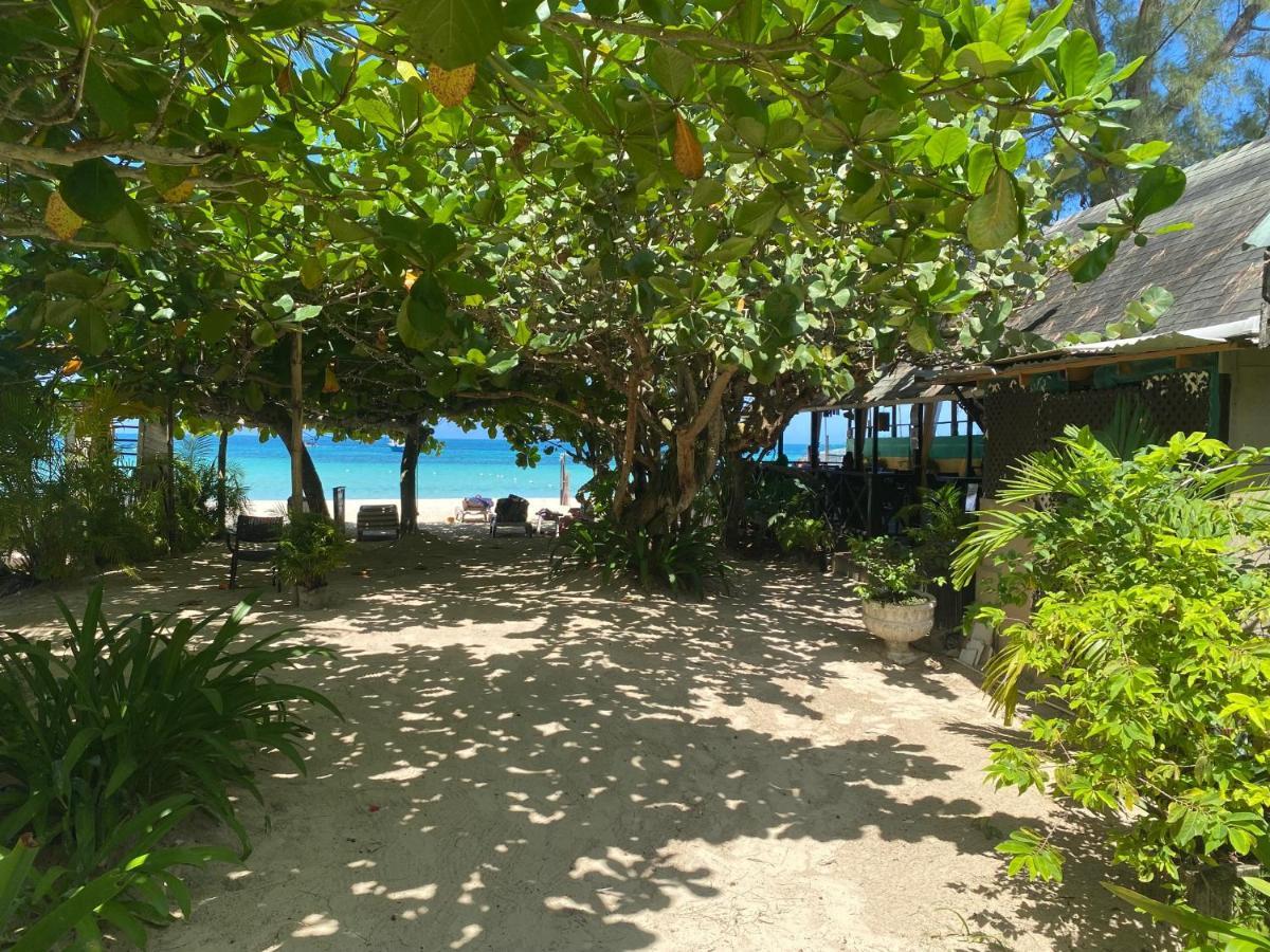 Secret Cabins At Firefly Beach Cottage Negril Exterior photo